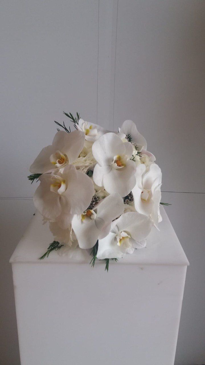 مسكة استوما أبيض