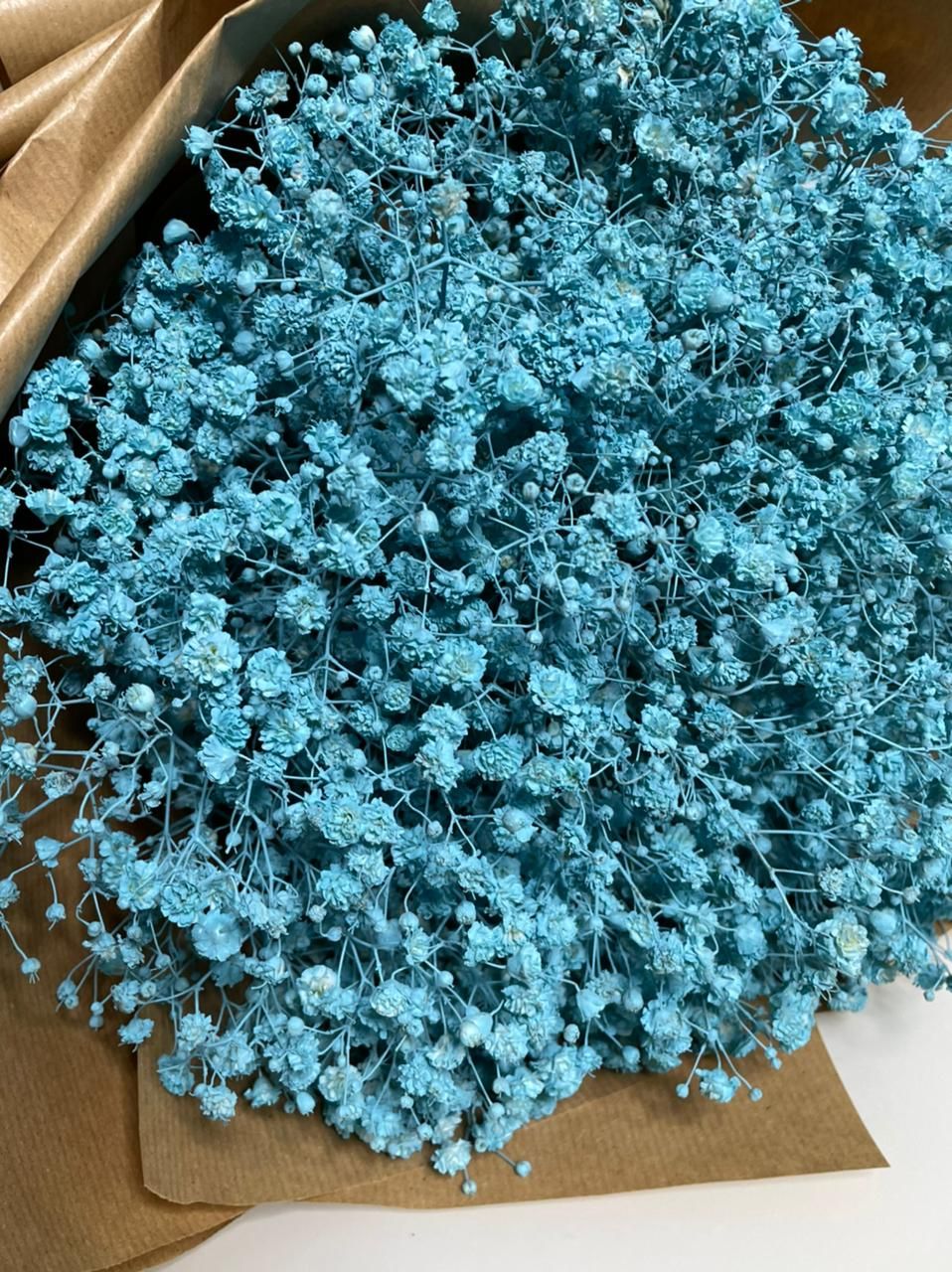 ورد جبسوفيليا أزرق 