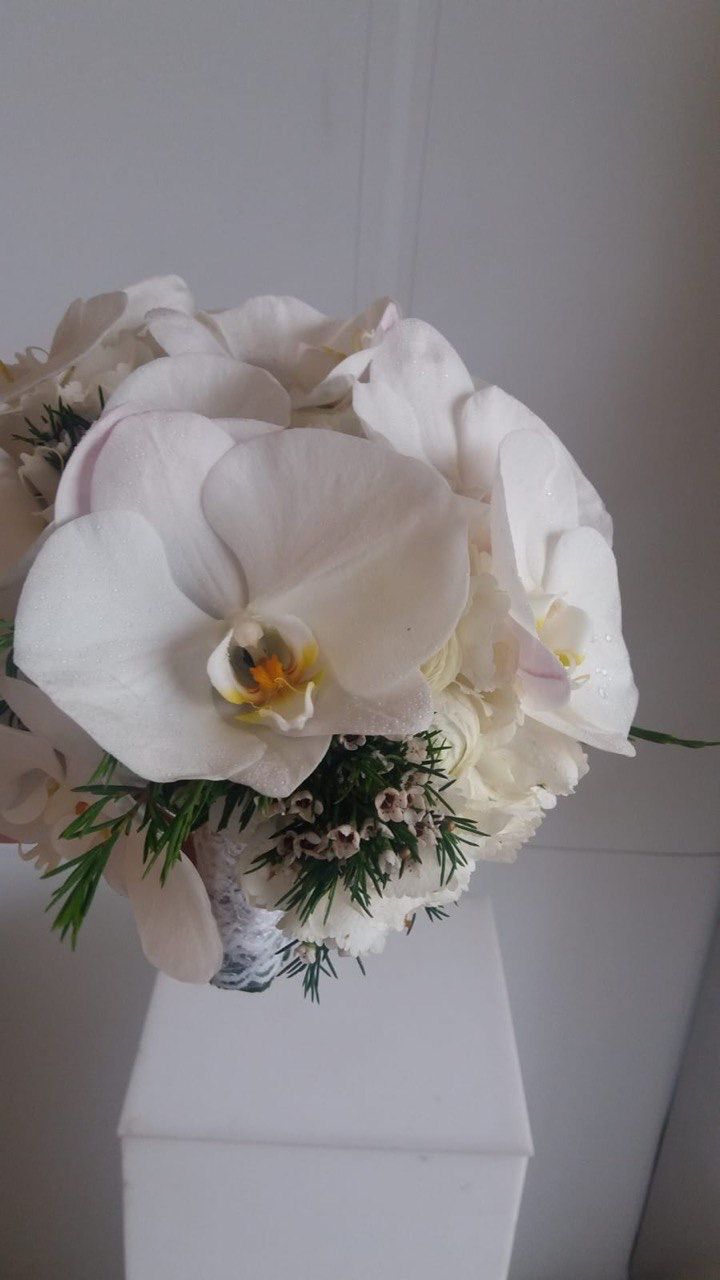 مسكة استوما أبيض