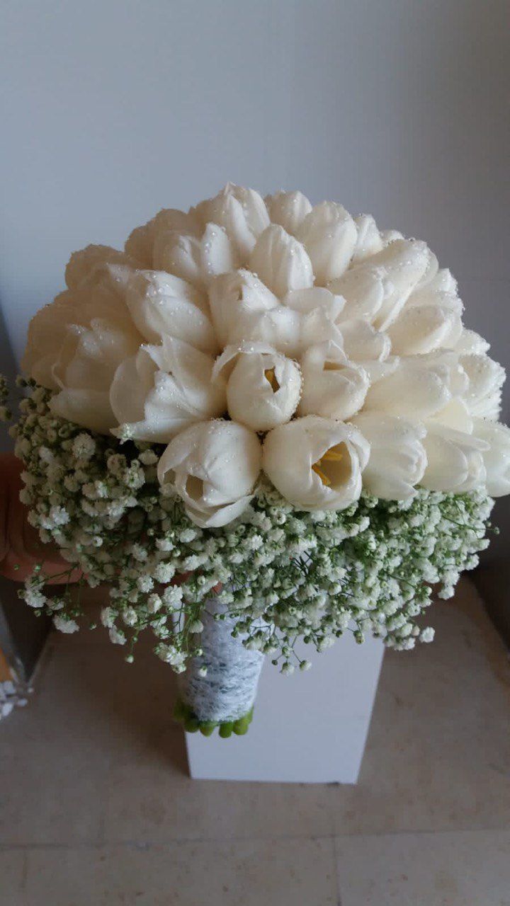 مسكة توليب أبيض 