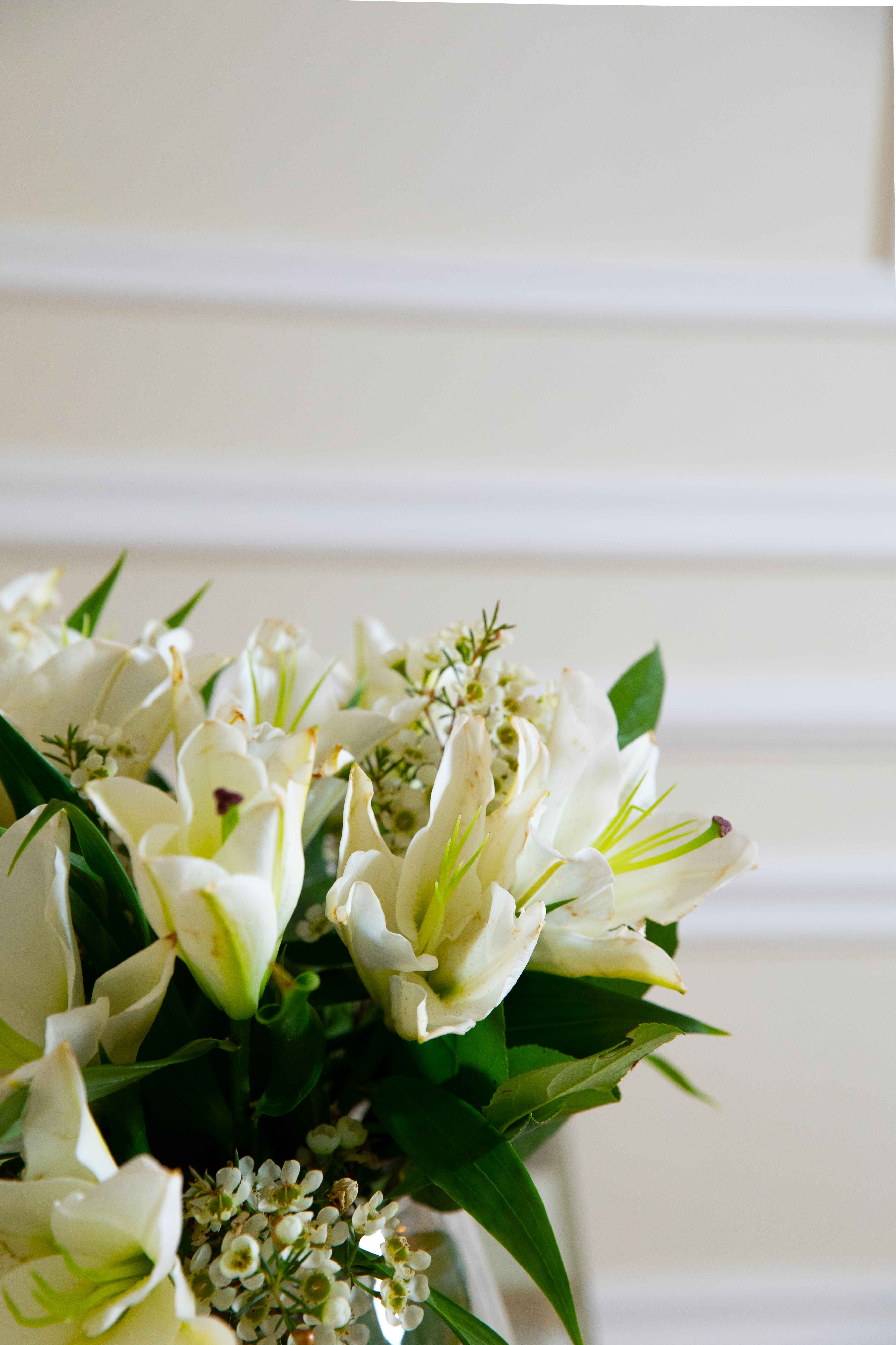 فازة ليليوم