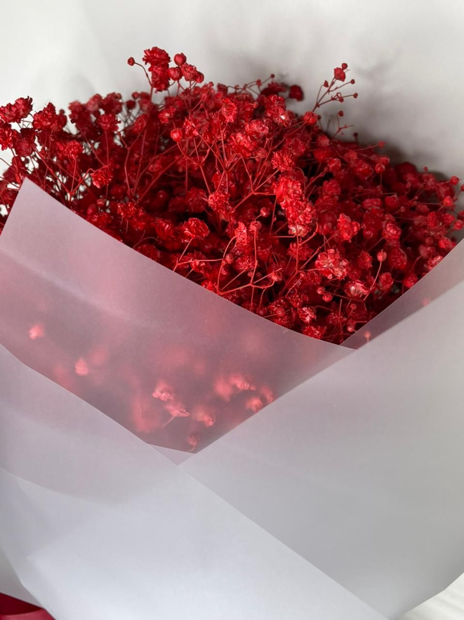 ورد جبسوفيليا أحمر 