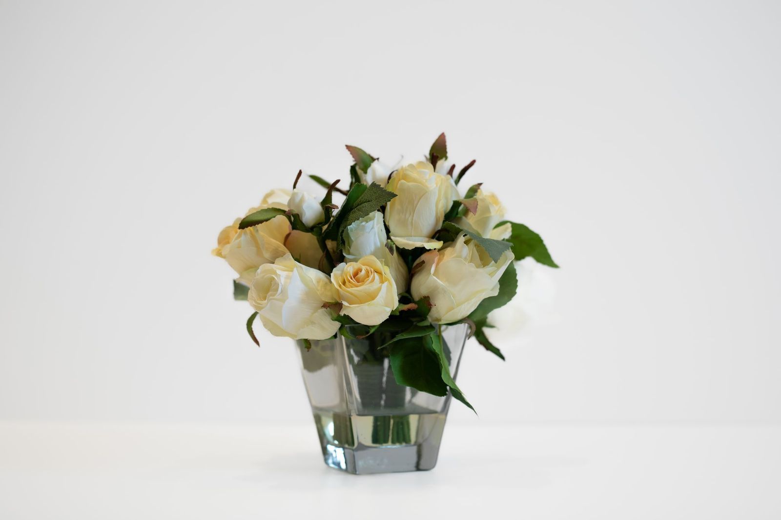 فازه روز وايت 