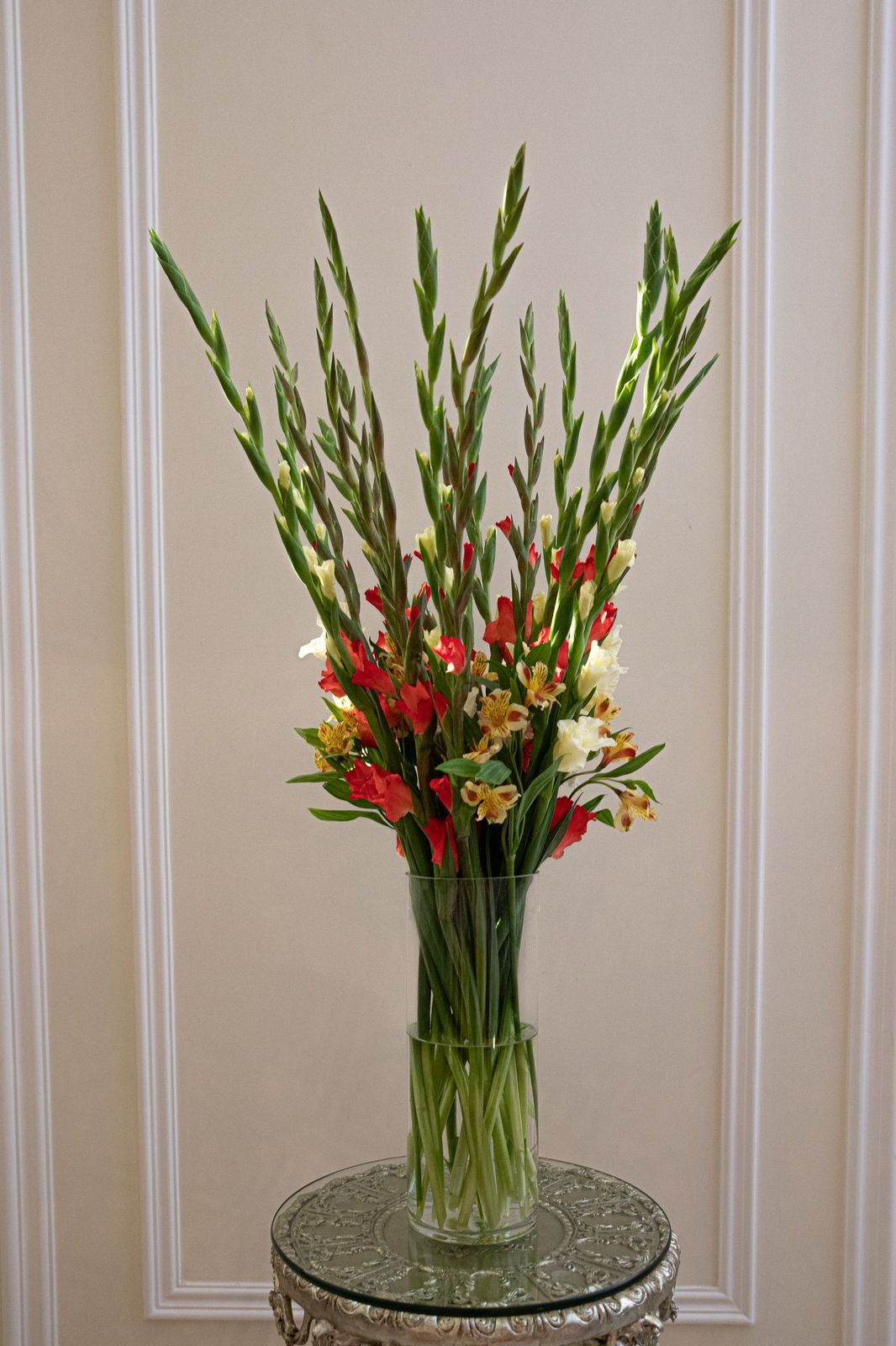 فازه قلاديوس 