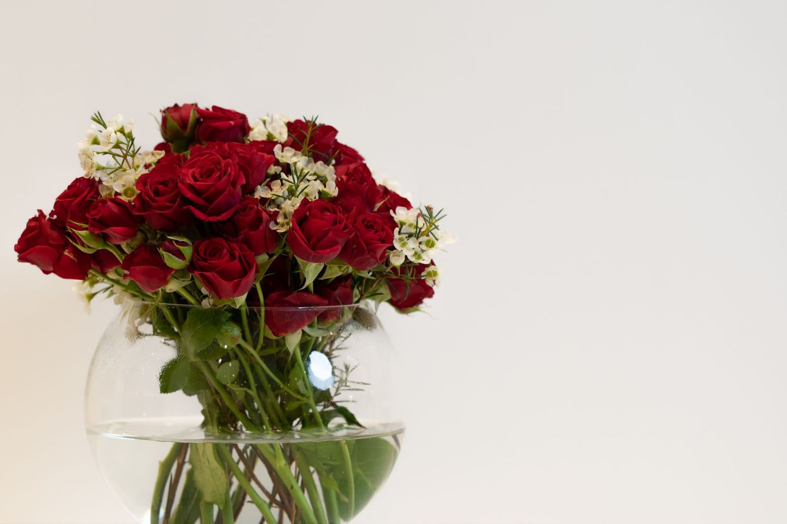 فازة بيبي روز أحمر