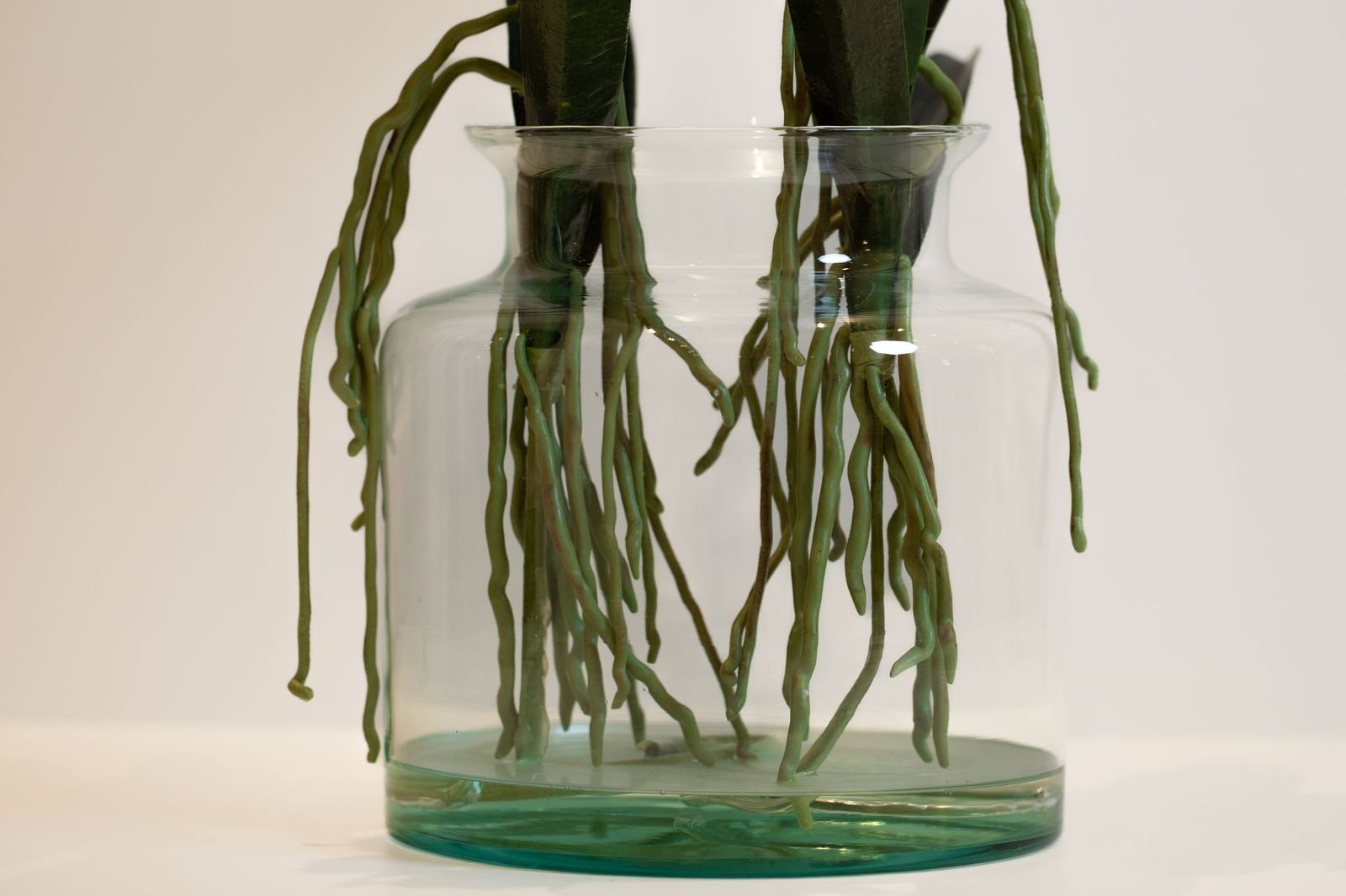 فازة كمفورت