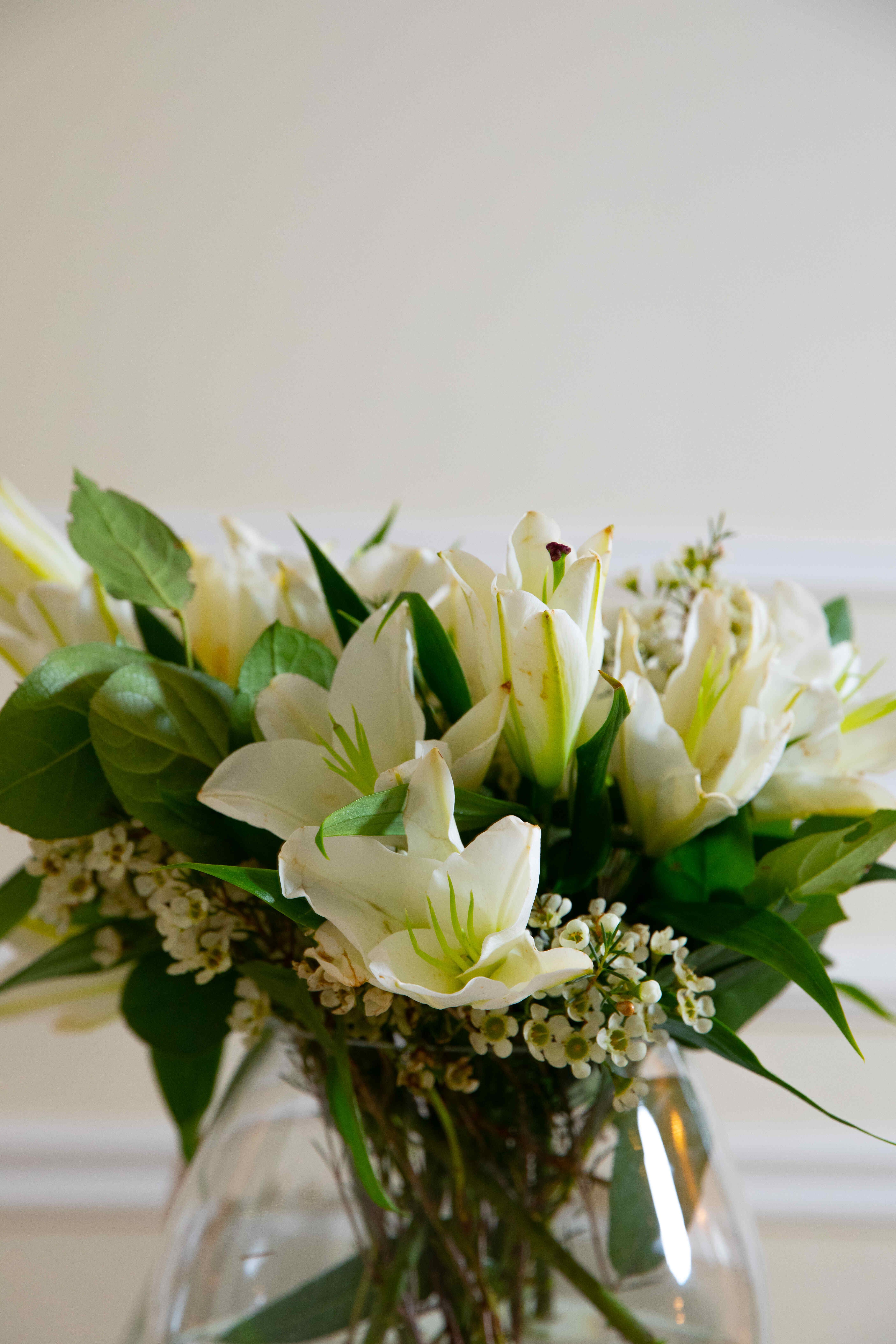 فازة ليليوم