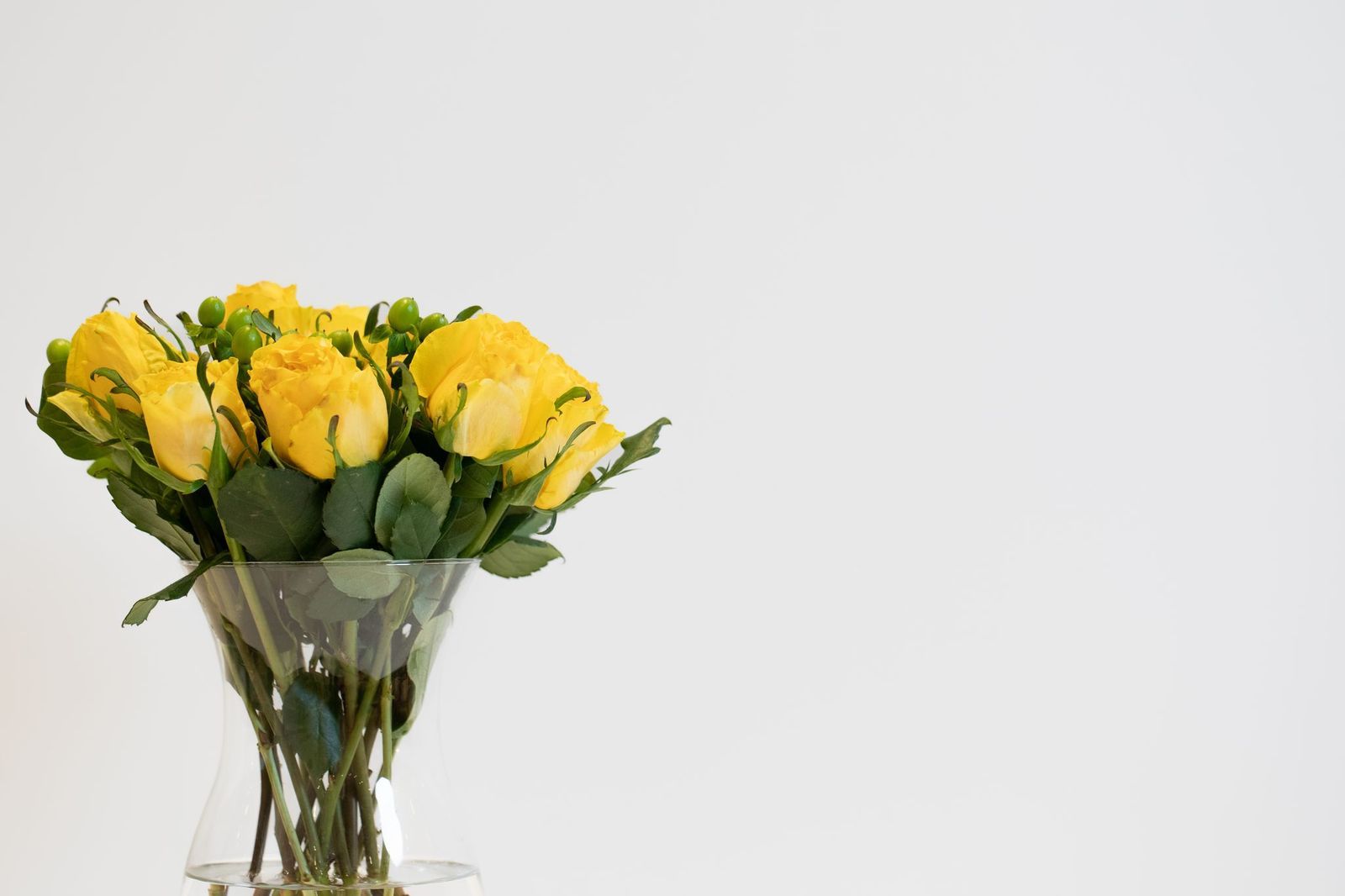 فازة لاسيرا