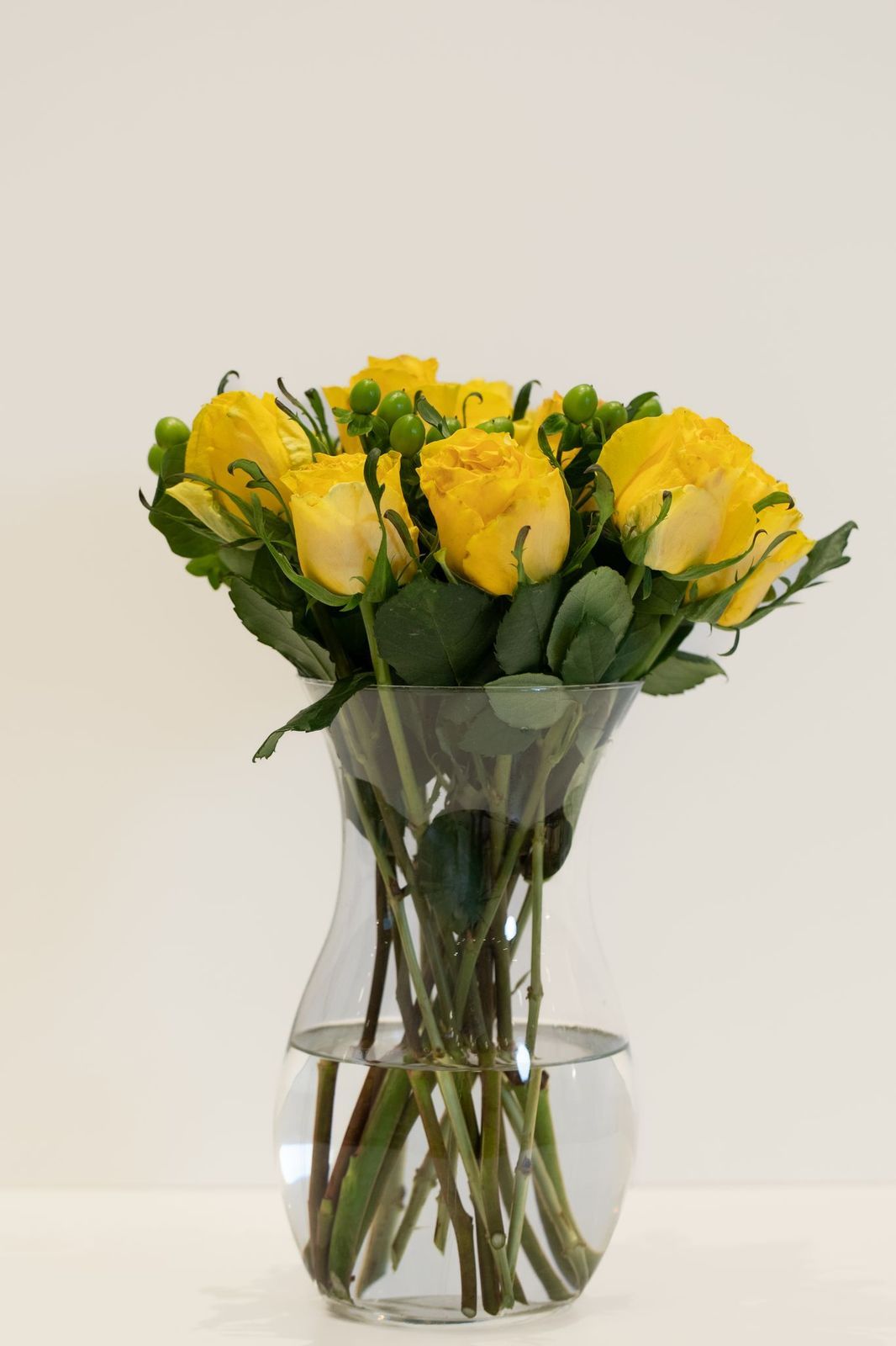 فازة لاسيرا