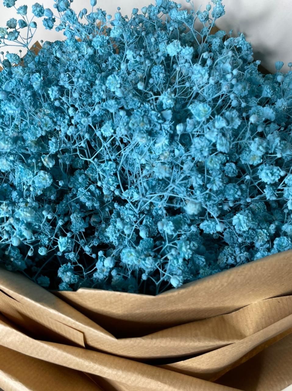 ورد جبسوفيليا أزرق 