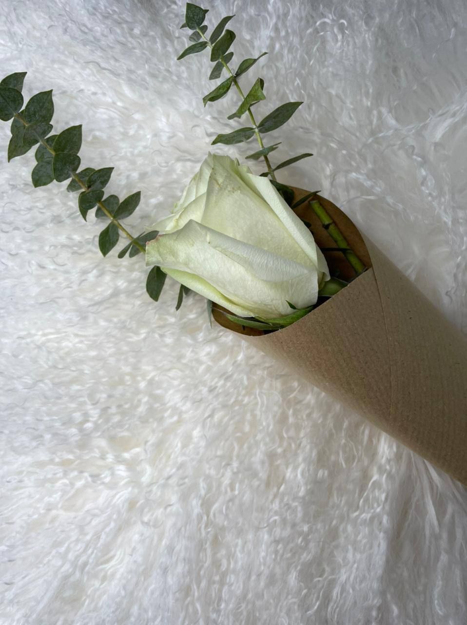 ميني بوكيه ابيض