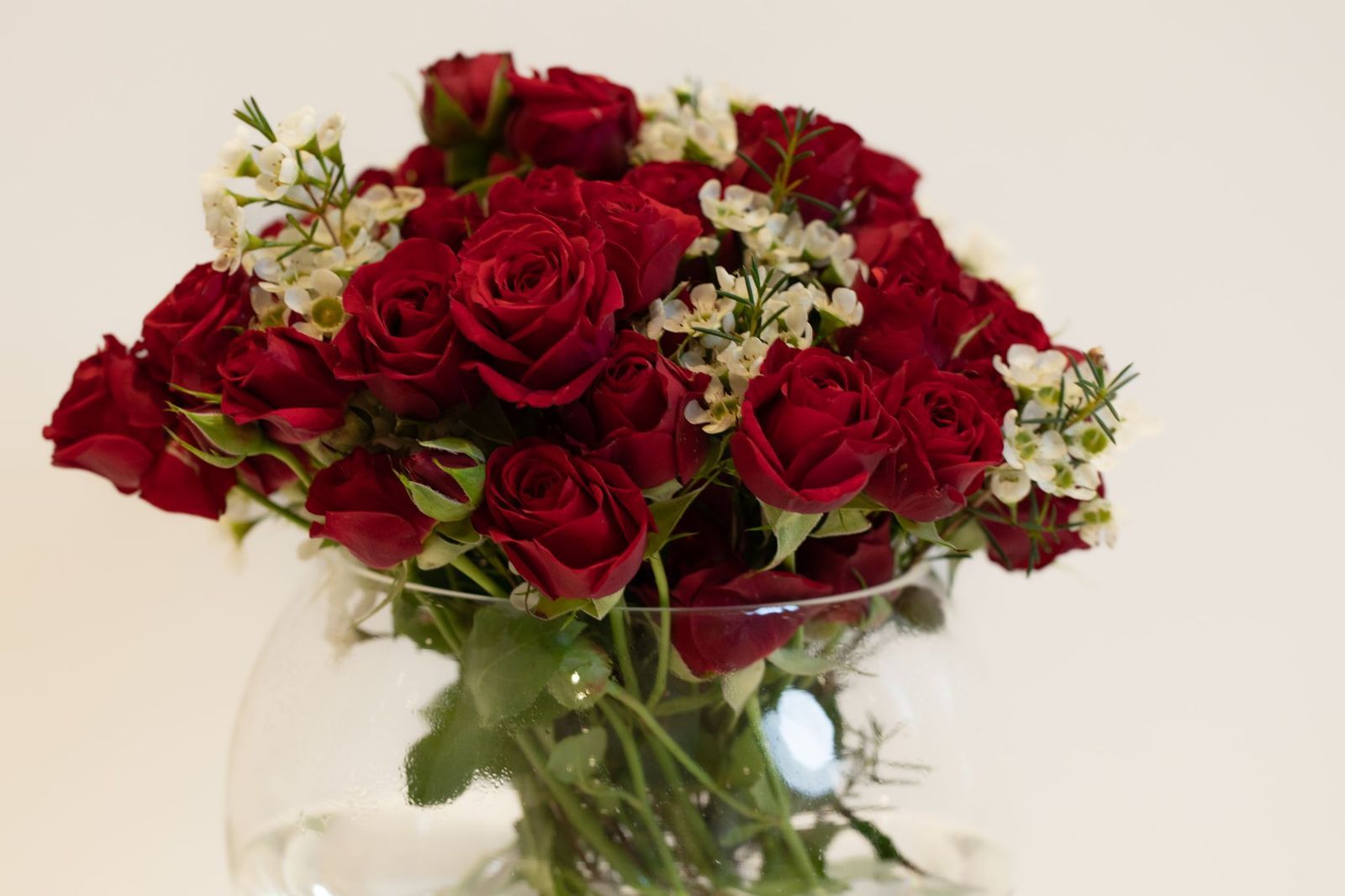 فازة بيبي روز أحمر